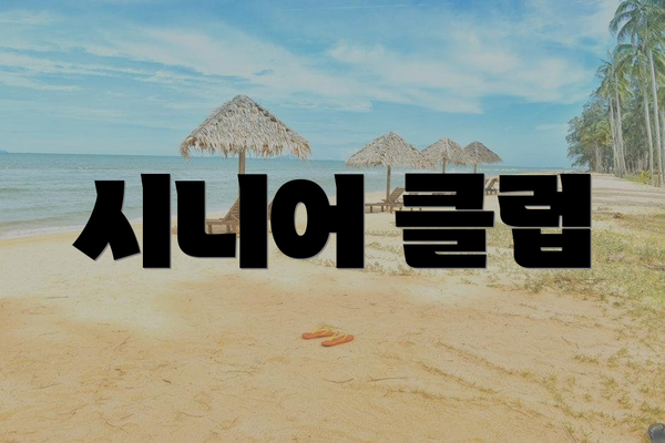 시니어 클럽