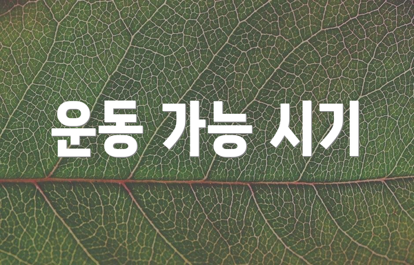 운동 가능 시기