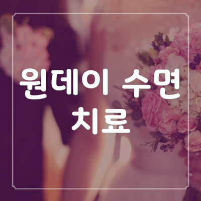 원데이 수면 치료