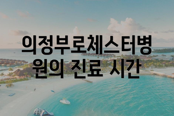 의정부로체스터병원의 진료 시간
