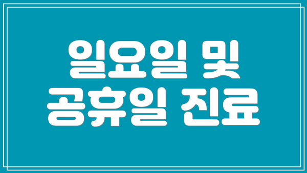 일요일 및 공휴일 진료