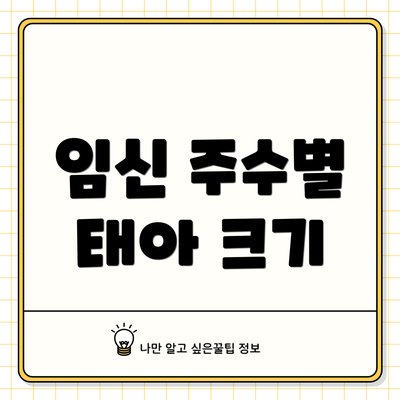 임신 주수별 태아 크기