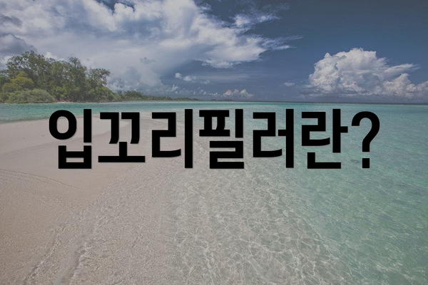 입꼬리필러란?