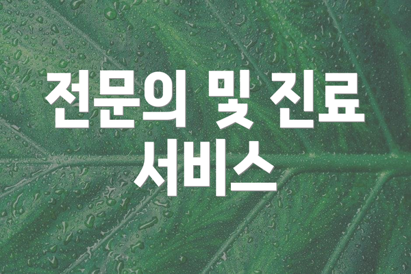 전문의 및 진료 서비스