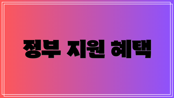 정부 지원 혜택