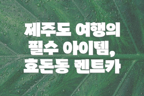 제주도 여행의 필수 아이템, 효돈동 렌트카