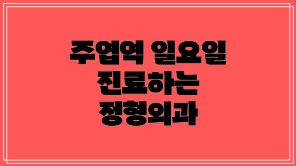 주엽역 일요일 진료하는 정형외과