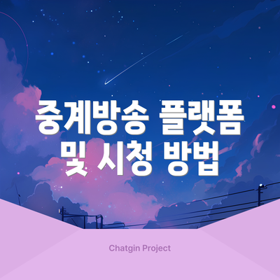 중계방송 플랫폼 및 시청 방법