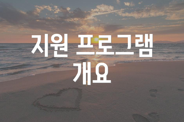 지원 프로그램 개요