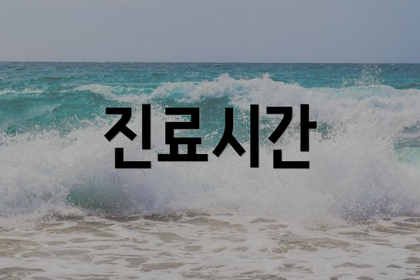 진료시간