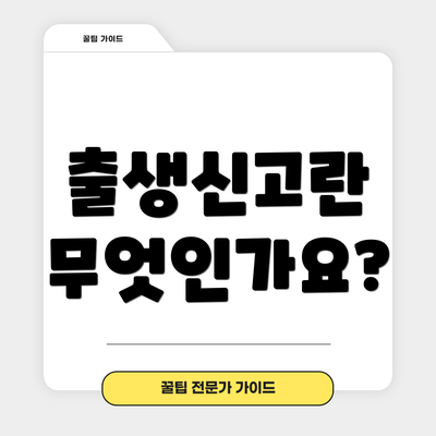 출생신고란 무엇인가요?