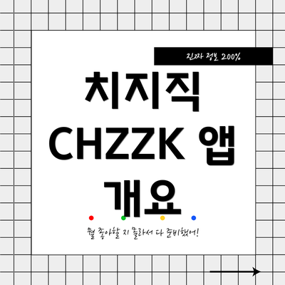 치지직 CHZZK 앱 개요