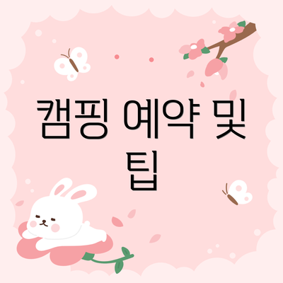 캠핑 예약 및 팁