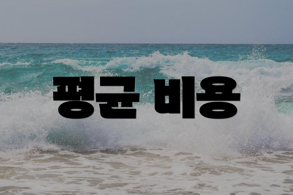 평균 비용