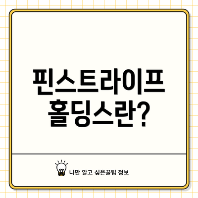 핀스트라이프 홀딩스란?