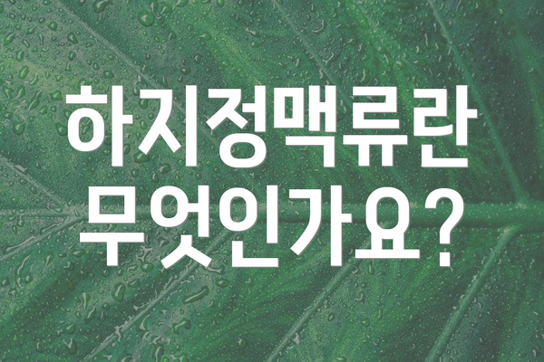 하지정맥류란 무엇인가요?