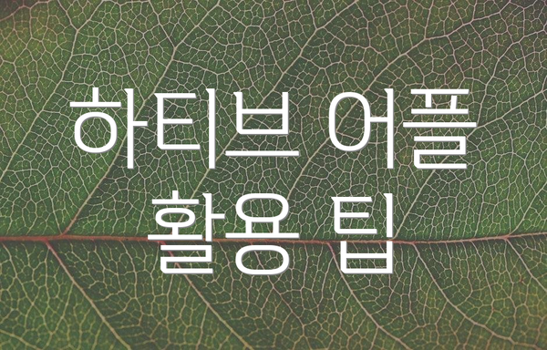 하티브 어플 활용 팁