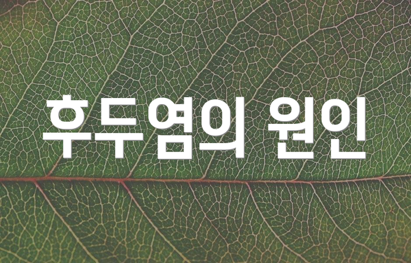후두염의 원인