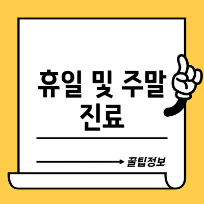 휴일 및 주말 진료