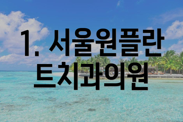 1. 서울원플란트치과의원