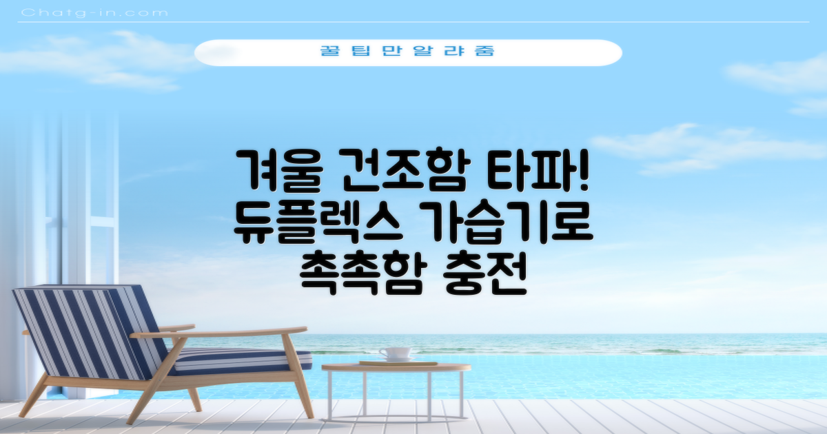 겨울철 건조함 해소를 위한 듀플렉스 공기 가습기