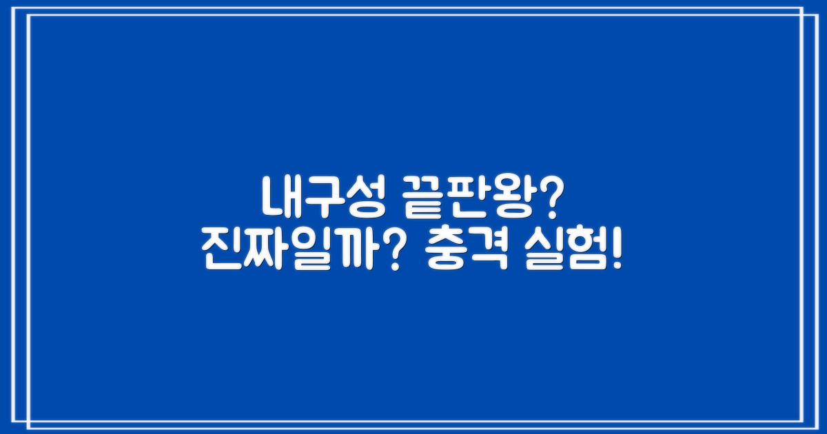 놀라운 내구성, 믿어도 될까?