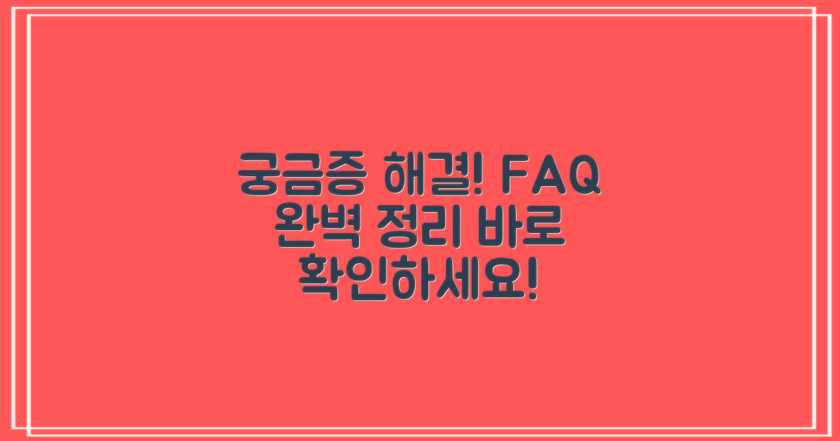 자주 묻는 질문