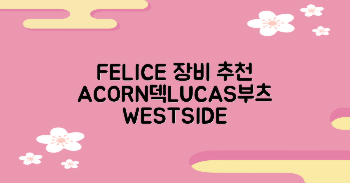 FELICE 장비세트6 ACORN데크 바인딩 LUCAS부츠, WESTSIDE 레드154+바인딩M, 1개 추천 리뷰