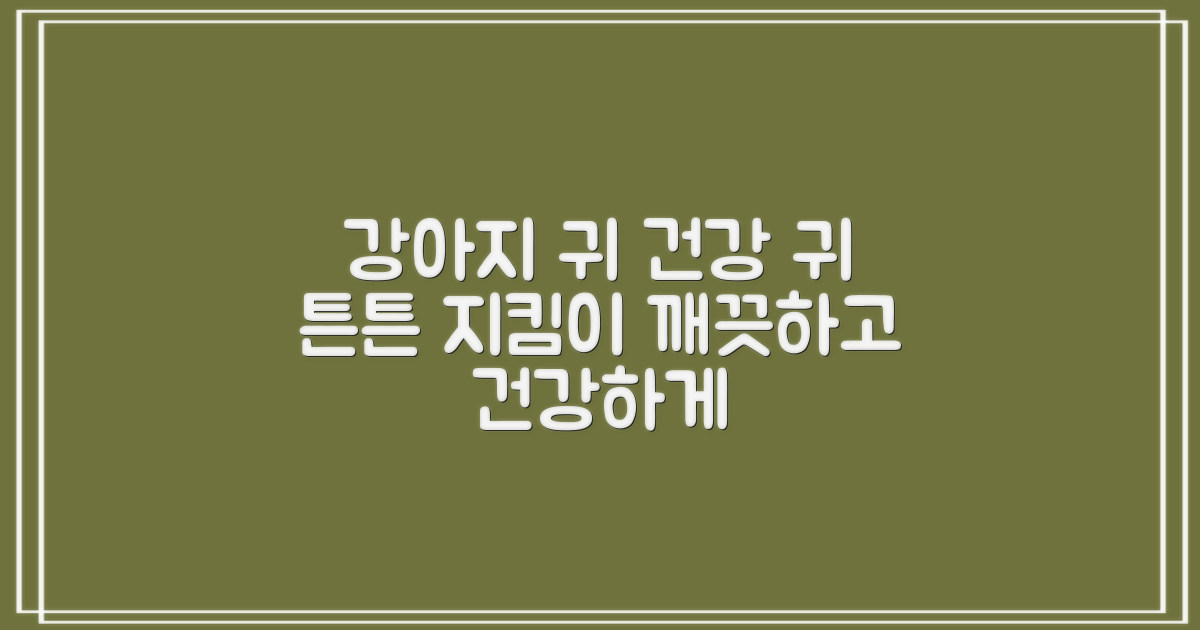 🐾 우리 강아지 귀 건강 지킴이