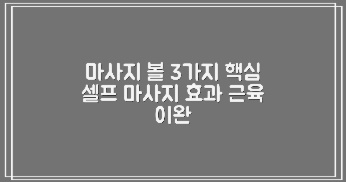 3가지 마사지 볼