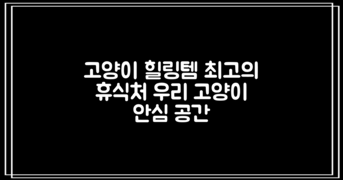 고양이 위한 힐링 공간